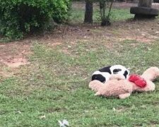 Porzucony pies przytulał pluszowego misia... Nie poruszał się - a wolontariuszka zdała sobie sprawę, że się spóźniła