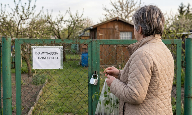 Syn z synową namówili mnie, żebym przepisała na nich działkę, bo „i tak jest twoja, mamo, po prostu łatwiej będzie z papierami". Przepisałam w zeszłym roku. W sobotę pojechałam tam bez zapowiedzi.