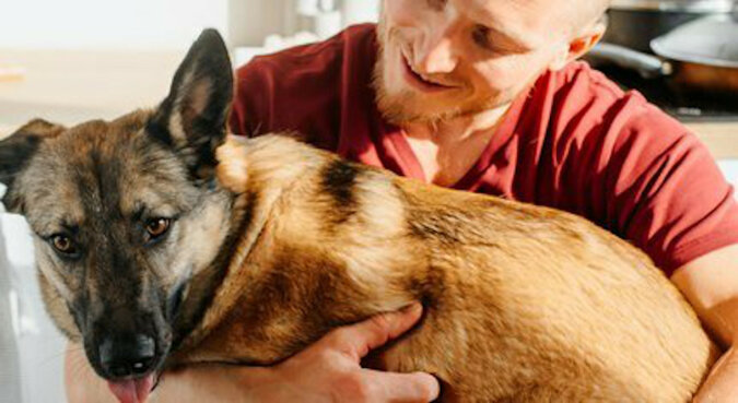 Pielęgniarka znalazła w schronisku psa, za którym tęsknił jej pacjent