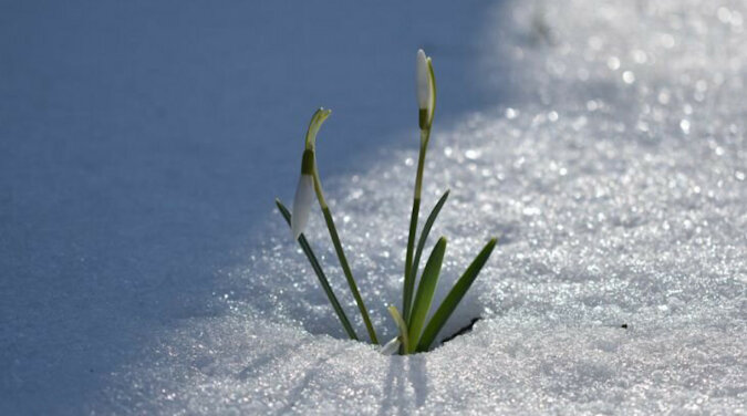 Dobry początek wiosny: 4 znaki zodiaku zobaczą duże zmiany w swoim życiu pod koniec zimy