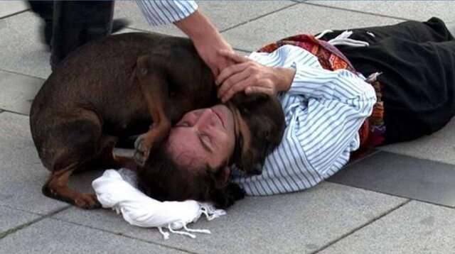 Bezdomny pies interweniował w spektaklu, aby „uratować” aktora i poruszył wszystkich widzów