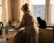 Syn wrócił z Niemiec "na chwilę, żeby ogarnąć sprawy". Po miesiącu przyjechała jego dziewczyna z kotem. Po trzech miesiącach zaczęli mówić o mnie do kota: "Babcia znowu nie zamknęła lodówki"