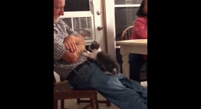 Mężczyzna, który nie chciał mieć kotów, rozkochał użytkowników Internetu swoim traktowaniem kociaka. Wideo