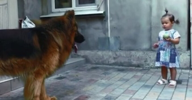 Nikt nie kochał dużego psa, który mieszkał na bazarku, ale córka zlitowała się nad nim. Zasługiwał na dobre traktowanie