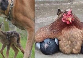 15 matek, którym podmieniono dzieci