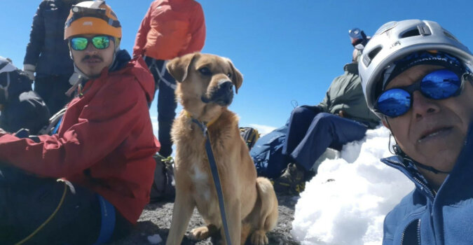 Alpiniści wspięli się na najwyższy wulkan w Meksyku, aby uratować bezdomnego psa