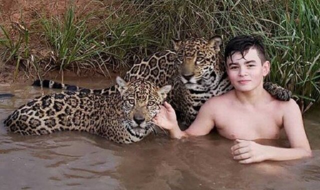 Thiago Silveira to brazylijski chłopiec mieszkający z jaguarami