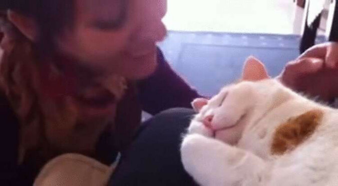 Kobieta całuje swojego kota. Reakcja zwierzęcia jest po prostu niesamowita