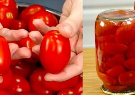 Do pomidorów nie dodaje ani soli, ani przypraw, ani octu: zalewam zwykłą wodą - zimą smakują jak świeże