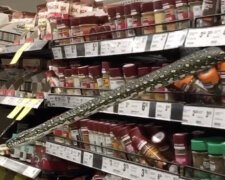 W Australii kobieta natknęła się na pytona wypełzającego z półki w supermarkecie. Wideo