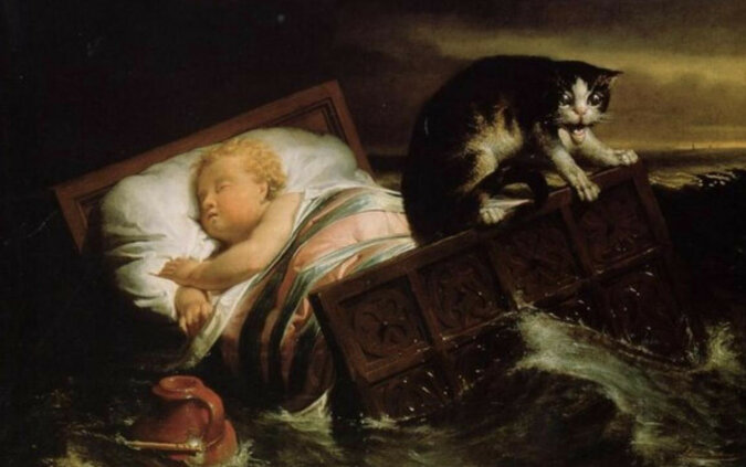 Dzielny kot uratował dziecko podczas powodzi. Prawdziwy cud