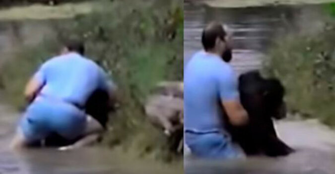 Mężczyzna rzucił się do wody, aby uratować małpę. Pracownicy Zoo stanowczo odmówili pomocy tonącej małpie