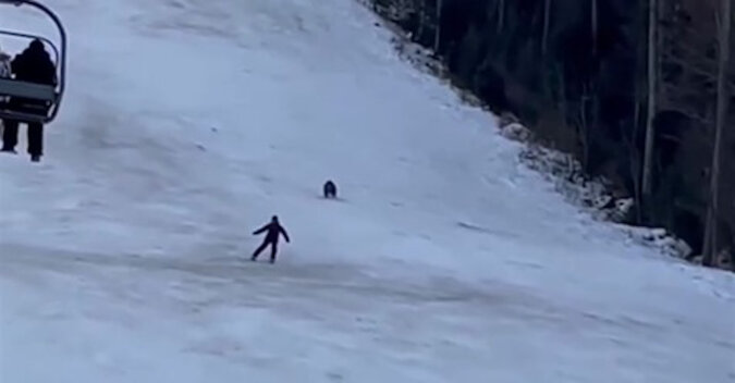 Niedźwiedź gonił narciarza po stoku w ośrodku, ale mężczyzna nie dał się zaskoczyć