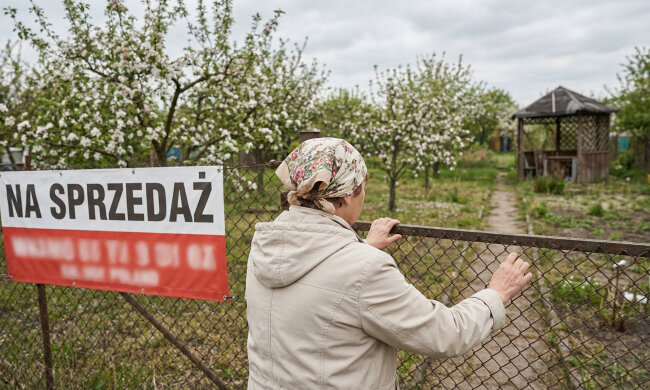 Przepisałam działkę na córkę, bo obiecała postawić tam domek dla nas obojga na starość. W zeszłym miesiącu pojechałam sprawdzić, jak idą prace - stał tam baner "Działka budowlana na sprzedaż" i numer telefonu zięcia