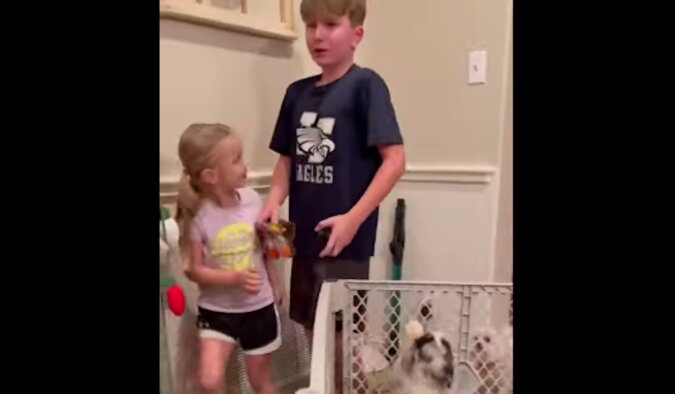 Prawdziwe emocje: reakcja chłopca na podarowanego szczeniaka wzruszyła użytkowników. Wideo