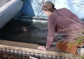 Dwóch młodych mężczyzn zauważyło psy: próbowali przyprowadzić je do przyjaciela, aby go uratowa