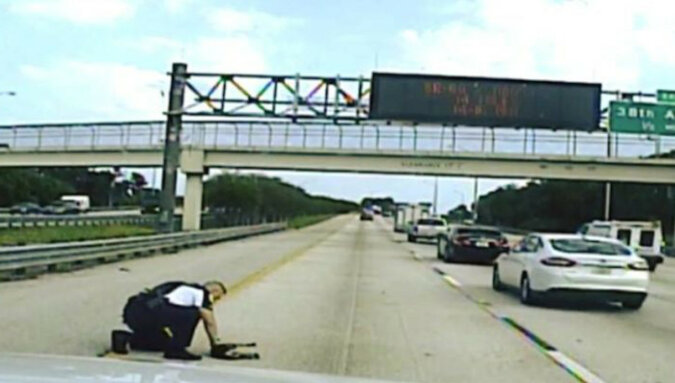 Policjant z Florydy zatrzymał ruch na autostradzie, aby uratować psa
