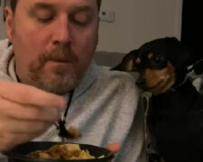 Ten pies dokładnie wie, jak prosić o najlepszy smakołyk. Wideo