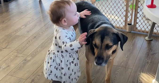 Dziecko uczy się chodzić przy pomocy swojego psa
