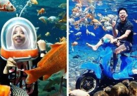 Wiejski staw w Indonezji stał się podwodnym miejscem dla selfie