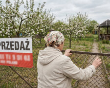 Przepisałam działkę na córkę, bo obiecała postawić tam domek dla nas obojga na starość. W zeszłym miesiącu pojechałam sprawdzić, jak idą prace - stał tam baner "Działka budowlana na sprzedaż" i numer telefonu zięcia