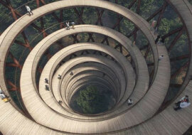 W Danii będzie możliwość zobaczyć las z wysokości, spacerując po spiralnej ścieżce