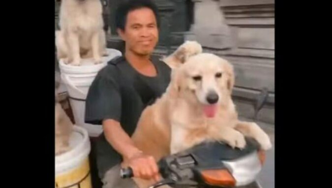 Wideo: miłośnik psów zmodyfikował motocykl, aby przewozić swoje zwierzęta