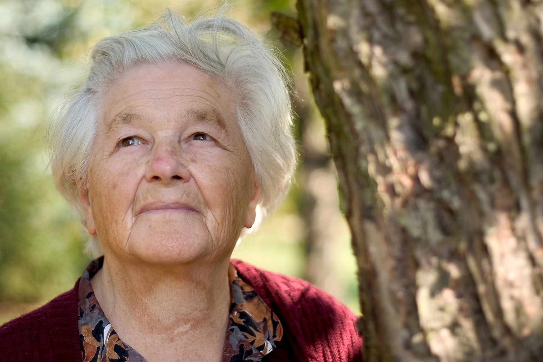 "Kiedy babcia dowiedziała się, iż wnuk chce ją wyrzucić z mieszkania, gwałtownie je sprzedała"